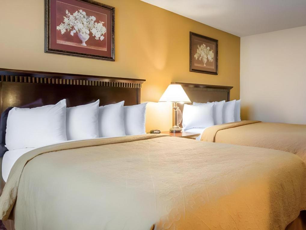 Quality Inn San Bernardino Exterior foto
